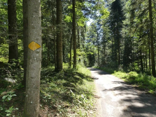 les-ponts-de-martel-travers-162