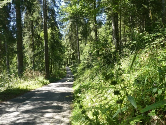 les-ponts-de-martel-travers-163