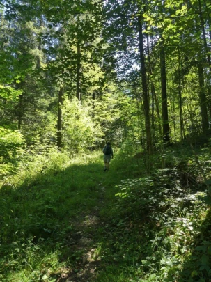 les-ponts-de-martel-travers-164