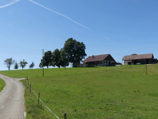 les-ponts-de-martel-travers-166