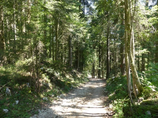 les-ponts-de-martel-travers-176