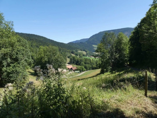 les-ponts-de-martel-travers-183