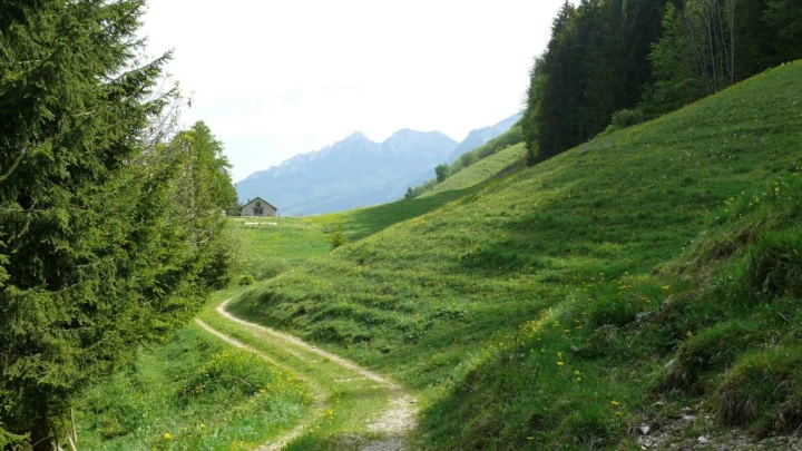 Lessoc Le Bu Grandvillard le Pont qui branle Gruyères