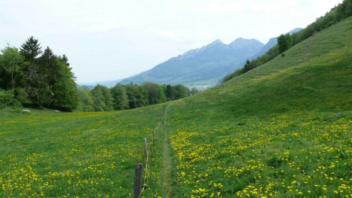 Lessoc Le Bu Grandvillard le Pont qui branle Gruyères