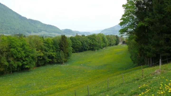 Lessoc Le Bu Grandvillard le Pont qui branle Gruyères