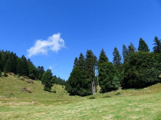 mauborget-les-cluds-ste-croix-109