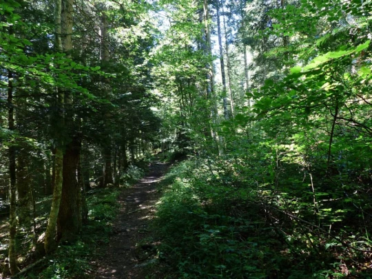 mauborget-les-cluds-ste-croix-126