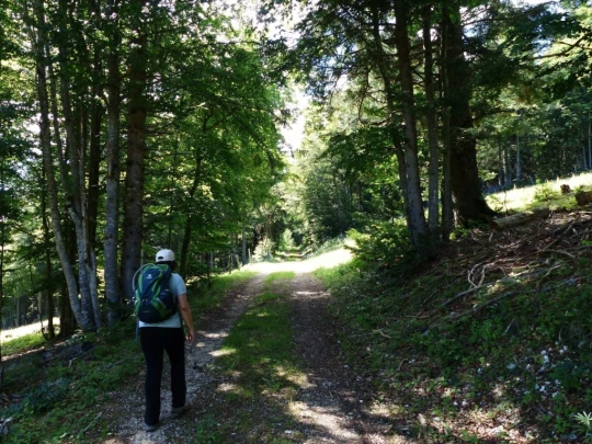 mauborget-les-cluds-ste-croix-146