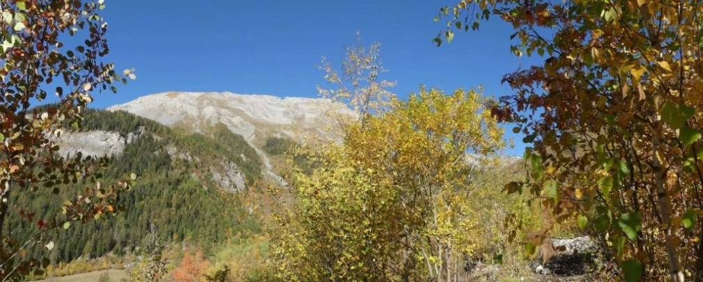 mayens-d-arbaz-la-comba-arbaz-127