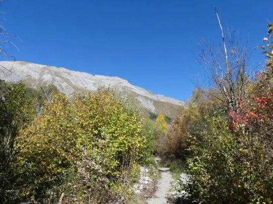 mayens-d-arbaz-la-comba-arbaz-129