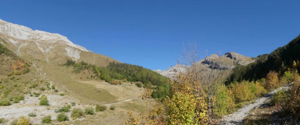 mayens-d-arbaz-la-comba-arbaz-139