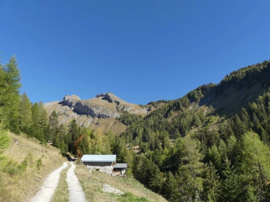 mayens-d-arbaz-la-comba-arbaz-143