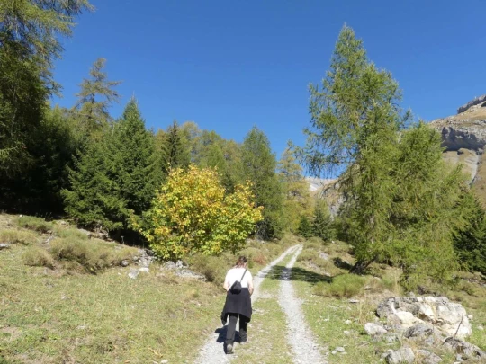 mayens-d-arbaz-la-comba-arbaz-148