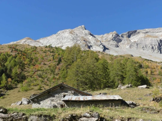 mayens-d-arbaz-la-comba-arbaz-156