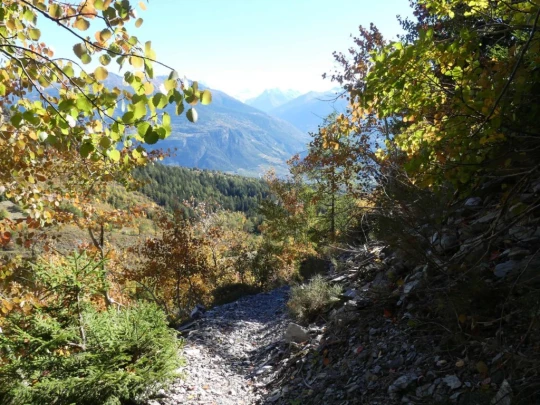 mayens-d-arbaz-la-comba-arbaz-219