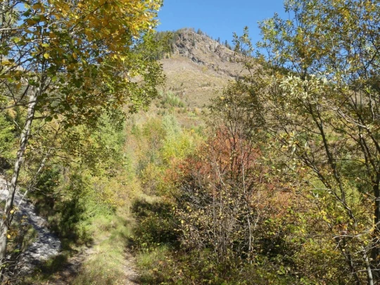 mayens-d-arbaz-la-comba-arbaz-224