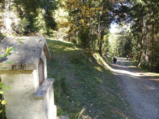 mayens-d-arbaz-la-comba-arbaz-230