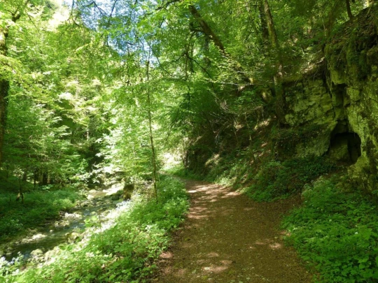 Meltingen, Chaltbrunnetal, Ibach, Chessiloch, Steirisel, Gobe, Zwingen
