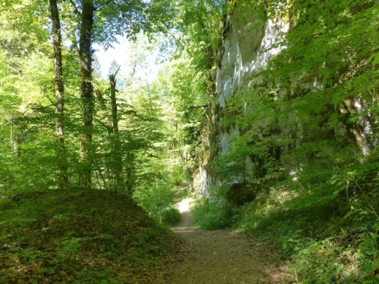 Meltingen, Chaltbrunnetal, Ibach, Chessiloch, Steirisel, Gobe, Zwingen