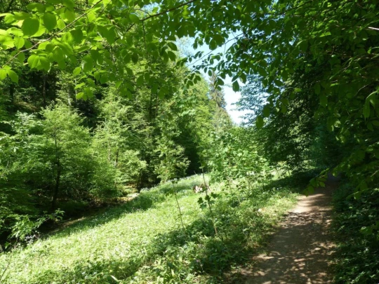 Meltingen, Chaltbrunnetal, Ibach, Chessiloch, Steirisel, Gobe, Zwingen