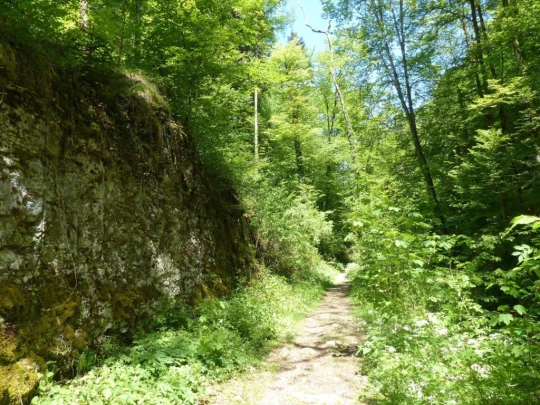 Meltingen, Chaltbrunnetal, Ibach, Chessiloch, Steirisel, Gobe, Zwingen