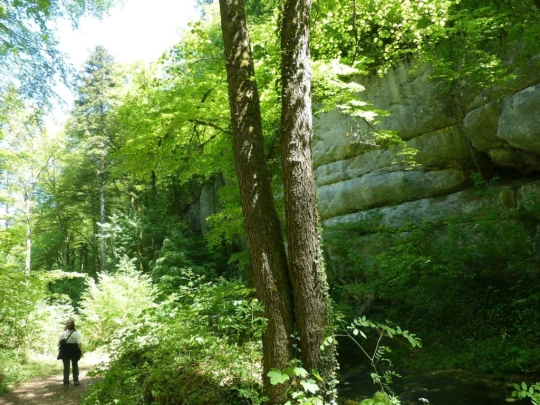 meltingen-zwingen-167