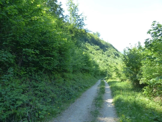 Meltingen, Chaltbrunnetal, Ibach, Chessiloch, Steirisel, Gobe, Zwingen