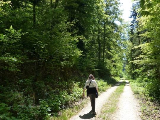 meltingen-zwingen-197