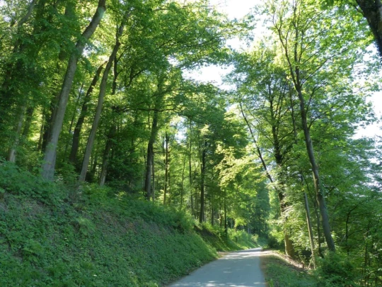 Meltingen, Chaltbrunnetal, Ibach, Chessiloch, Steirisel, Gobe, Zwingen