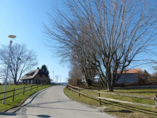 mezieres-chalet-a-gobet-101