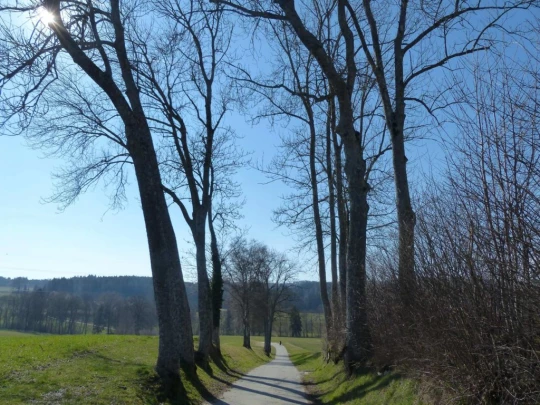 mezieres-chalet-a-gobet-103