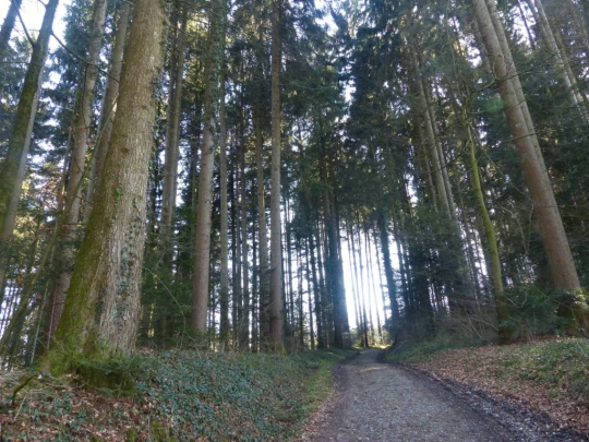 mezieres-chalet-a-gobet-109