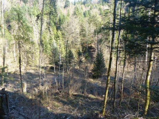 mezieres-chalet-a-gobet-118