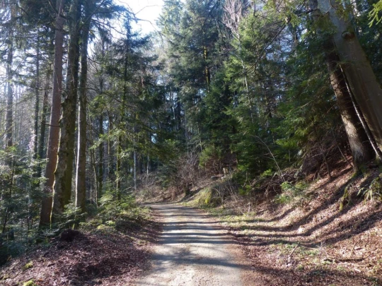 mezieres-chalet-a-gobet-128