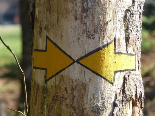 mezieres-chalet-a-gobet-131