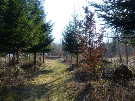 mezieres-chalet-a-gobet-132