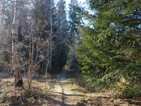 mezieres-chalet-a-gobet-135