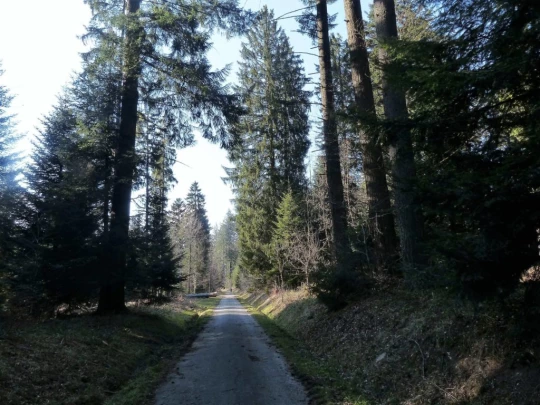 mezieres-chalet-a-gobet-136