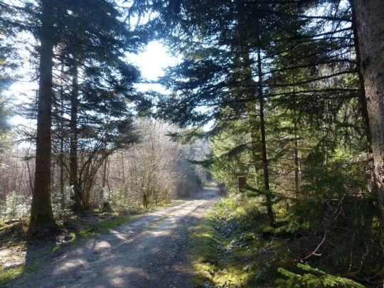 mezieres-chalet-a-gobet-143