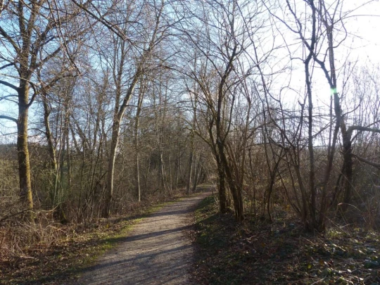 mezieres-chalet-a-gobet-148