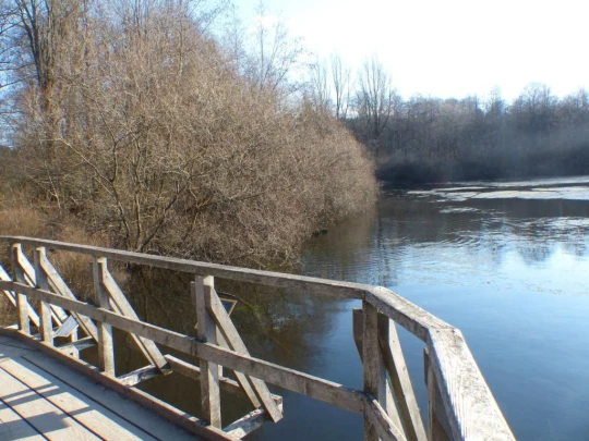 mezieres-chalet-a-gobet-151