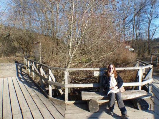 mezieres-chalet-a-gobet-152