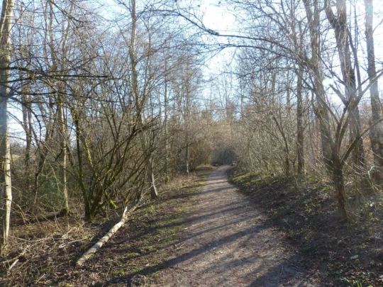 mezieres-chalet-a-gobet-153