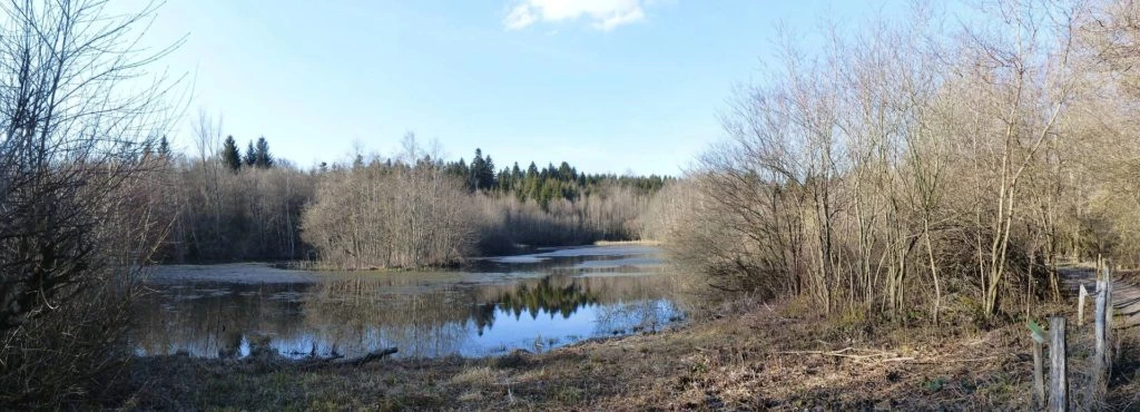 mezieres-chalet-a-gobet-155