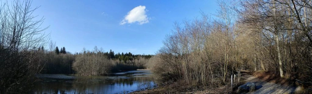 mezieres-chalet-a-gobet-156