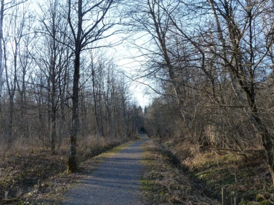 mezieres-chalet-a-gobet-157