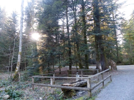 mezieres-chalet-a-gobet-158