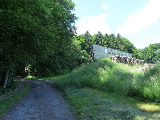 mezieres-oron-la-ville-108