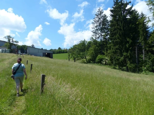 mezieres-oron-la-ville-118