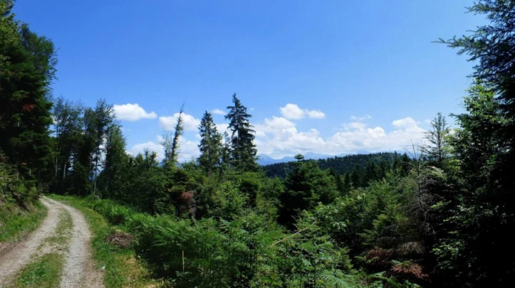 mezieres-oron-la-ville-127